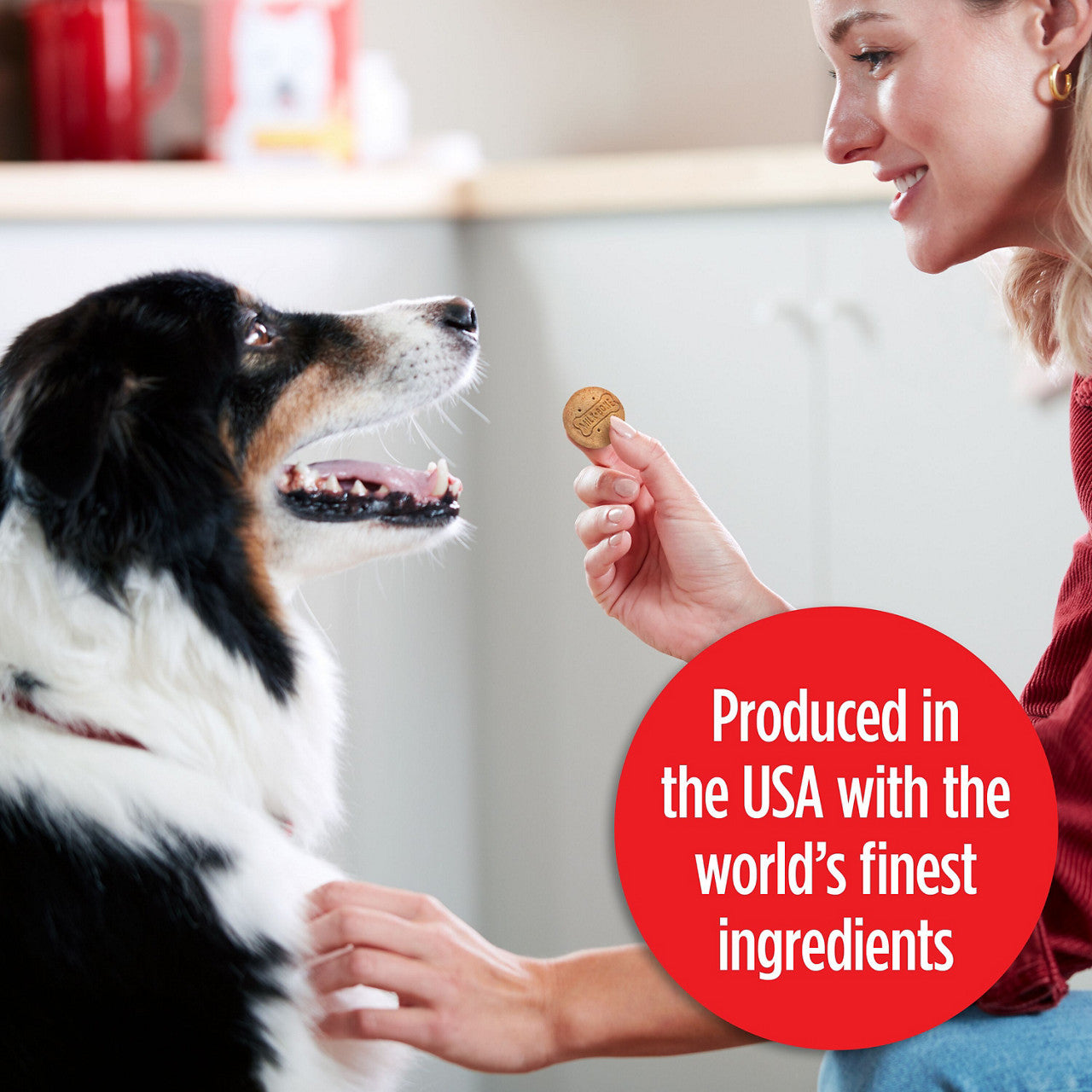 Milk-Bone Stacked Dog Biscuits, Molasses & Peanut Butter Flavor, Naturally & Artificially Flavored, 10 oz