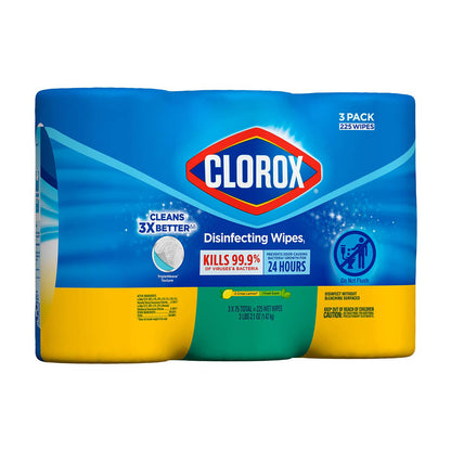 Clorox Bleach Free Disinfecting Wipes Value Pack, 3 pk