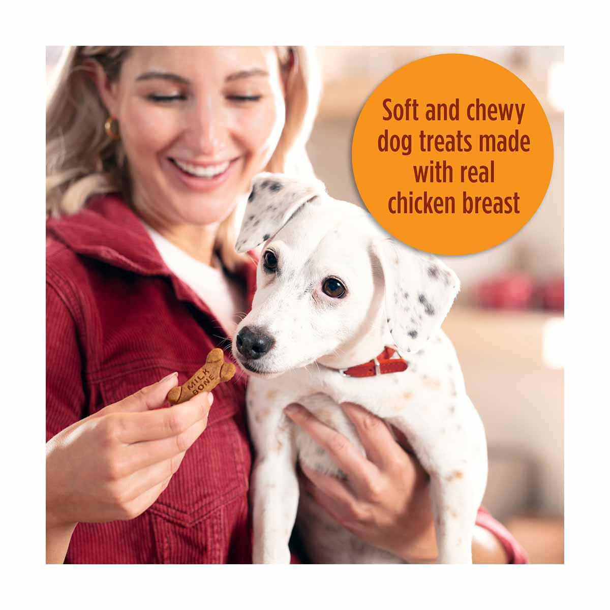 Milk-Bone Soft & Chewy Chicken Recipe Dog Treats, 2.7 oz